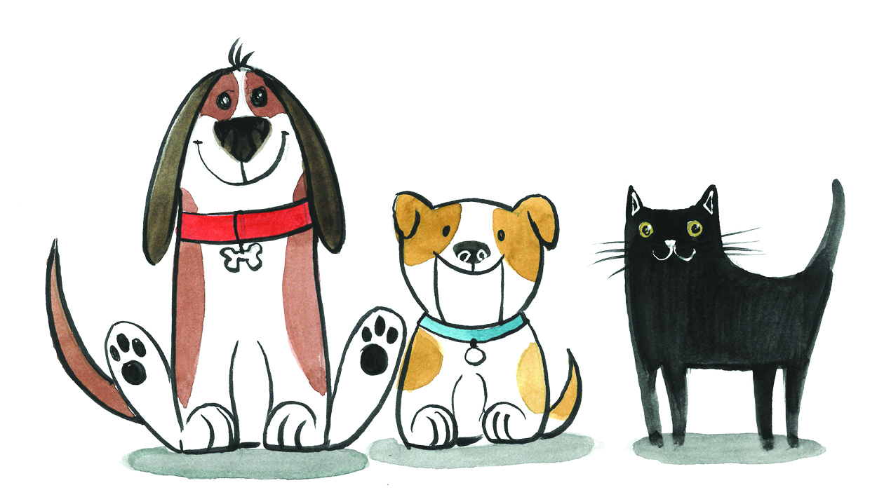 Illustrate Junior 1: Alle Tiere Groß und Klein